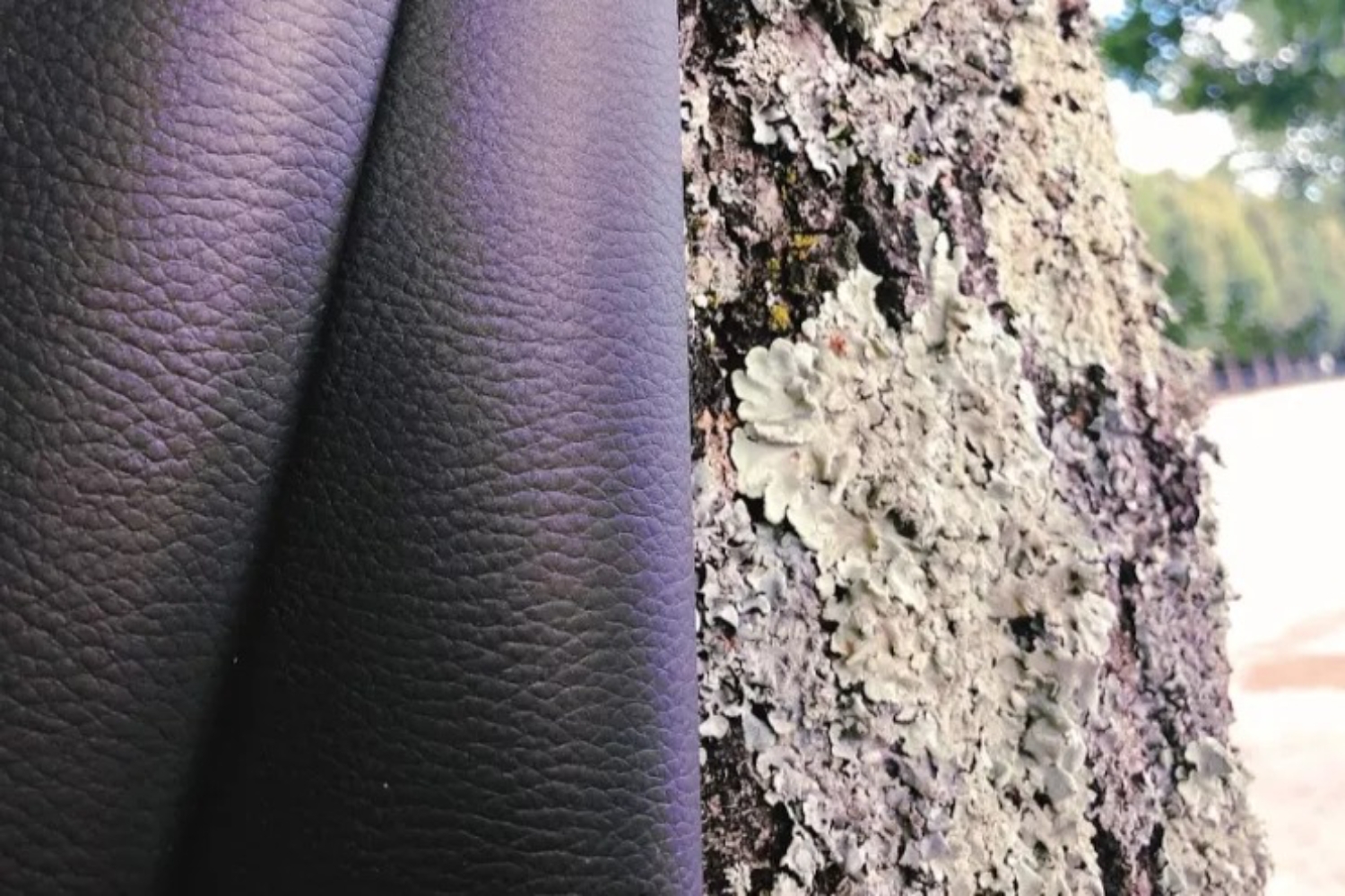 Outdoor Fabrics